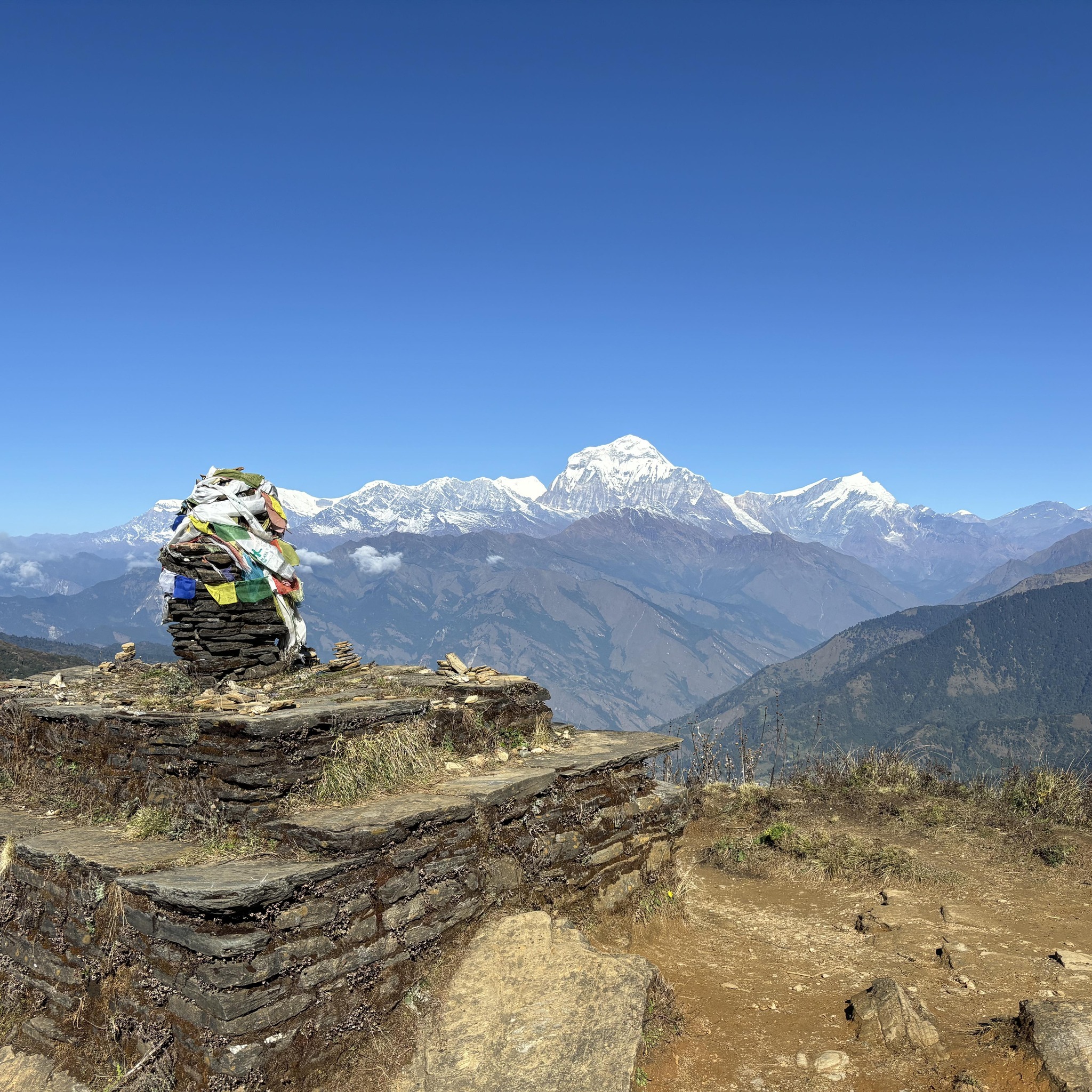poonhill Ghorepani Trekking